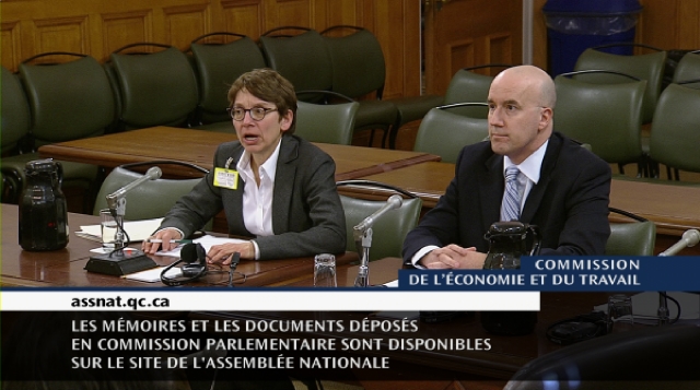 Ginny Stroeher meets with the Committee on the Economy and Labour